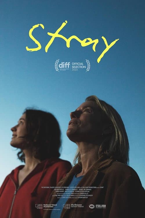 Stray poster