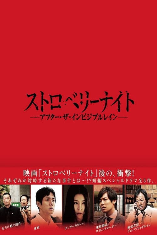 Strawberry Night: After the Invisible Rain (2013) poster