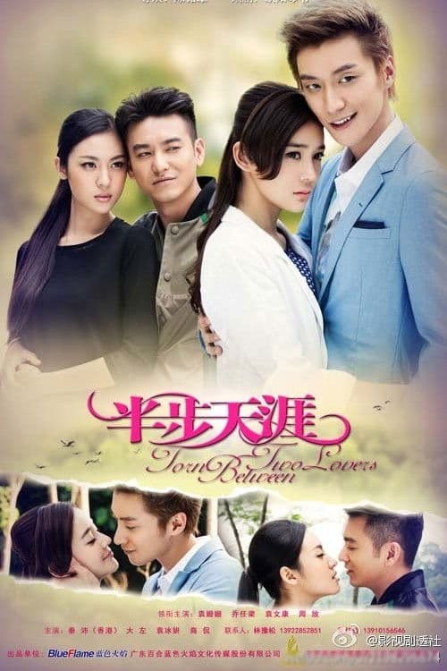 Torn Between Two Lovers (2015) poster