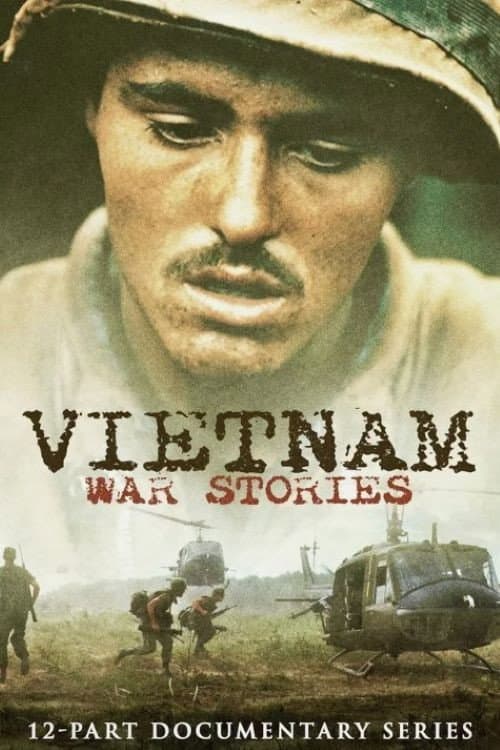 Vietnam War Stories (2010) poster