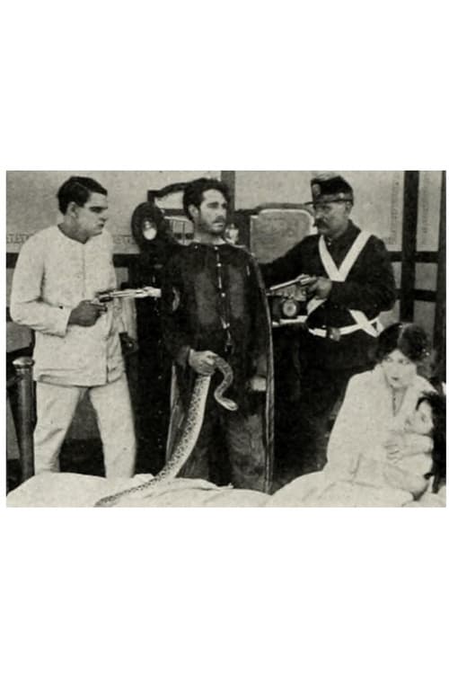 The Rattlesnake (1913) poster