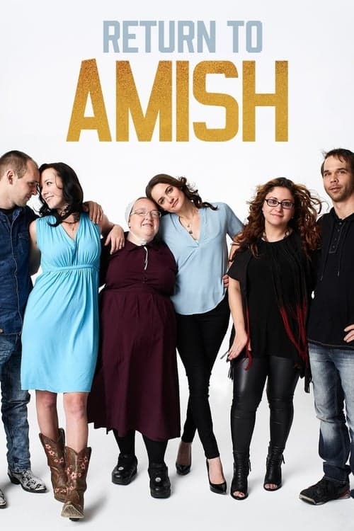 Return to Amish (2014) poster