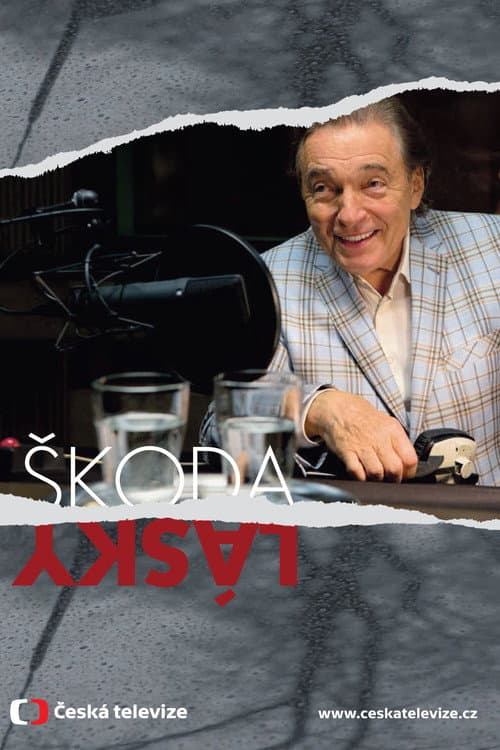 Škoda lásky (2013) poster
