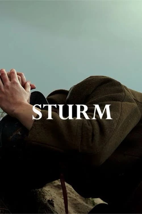 Sturm poster