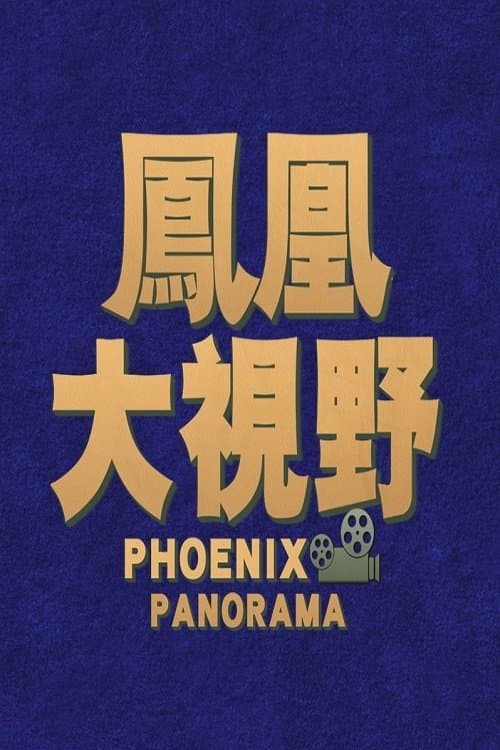 凤凰大视野 (2004) poster