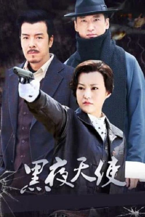 黑夜天使 (2012) poster