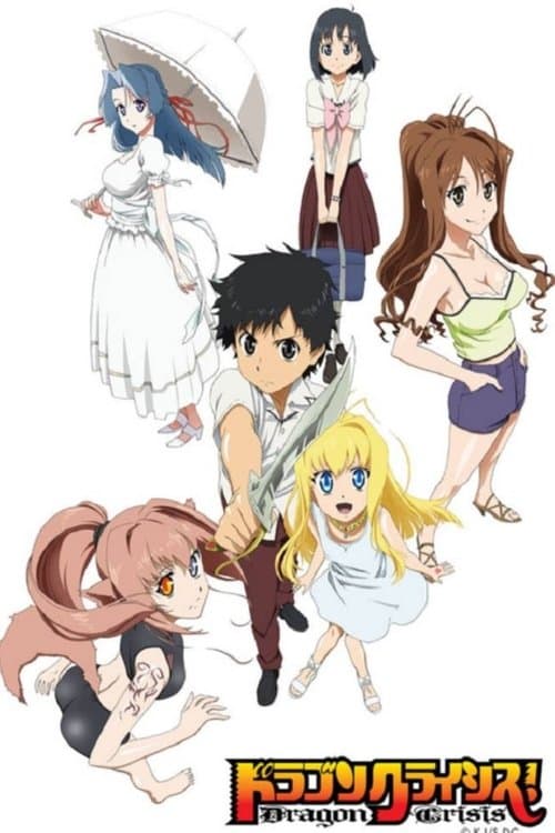 Dragon Crisis! (2011) poster
