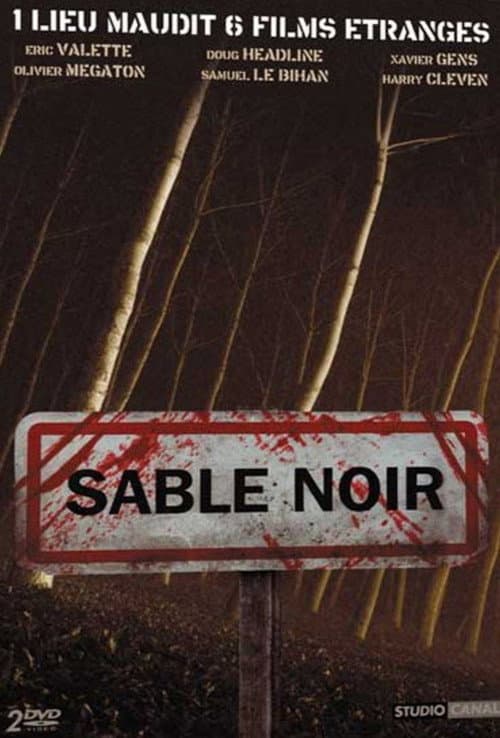 Sable noir (2006) poster