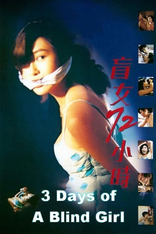 3 Days of a Blind Girl (1993) poster