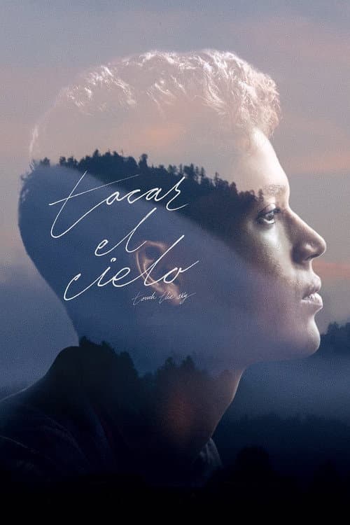 Touch the Sky poster