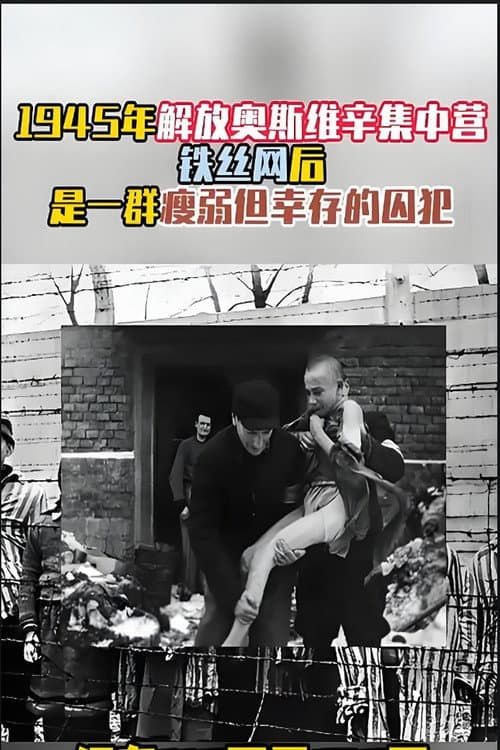 奥斯维辛集中营 (2013) poster