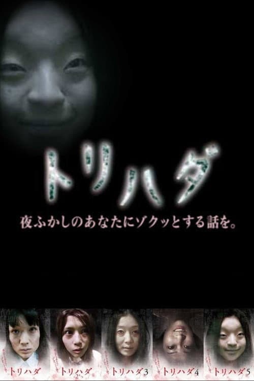 トリハダ～夜ふかしのあなたにゾクッとする話を (2007) poster