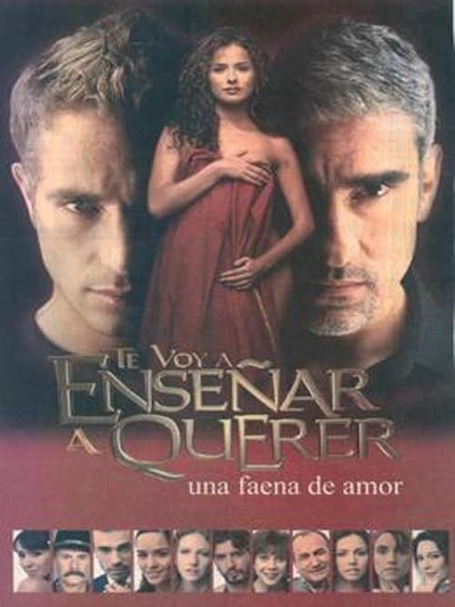 Te voy a enseñar a querer (2004) poster