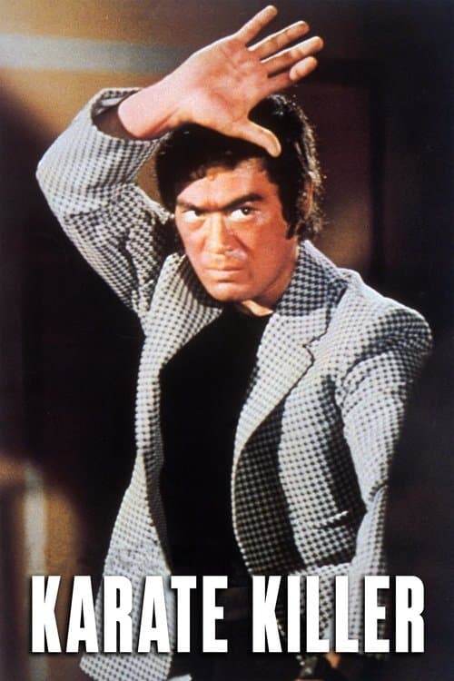 Bodyguard Kiba 2 (1973) poster