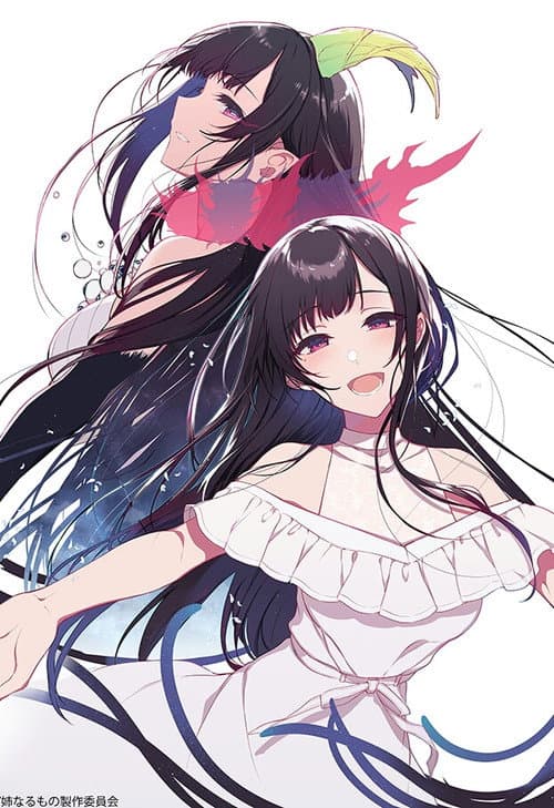 The Elder Sister-like One poster