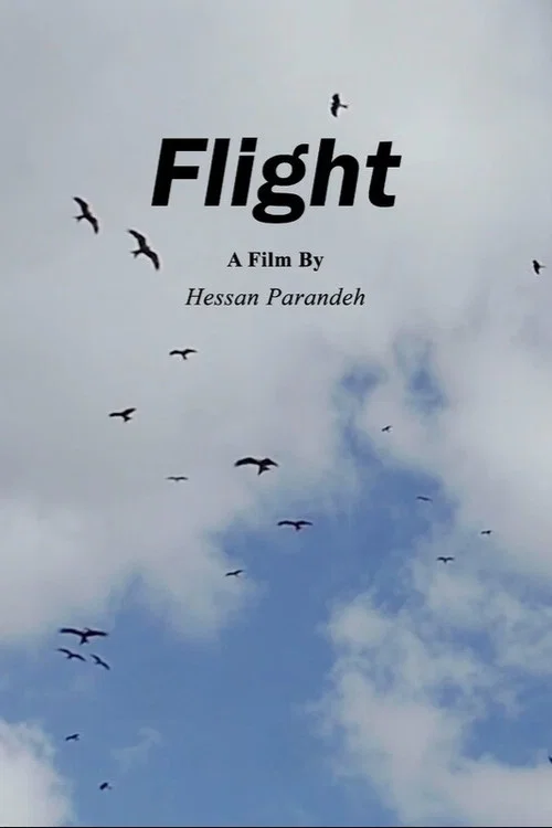 Flight poster