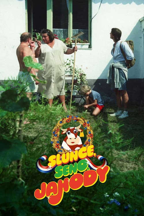 Sun, Hay, Strawberries poster