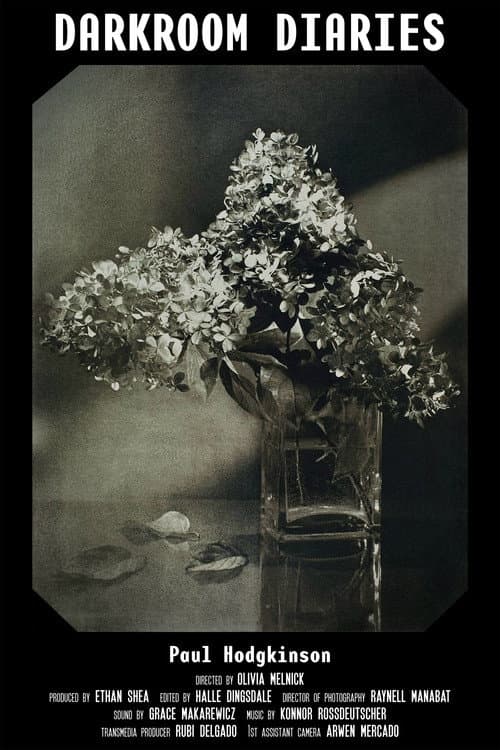 Darkroom Diaries (2024) poster