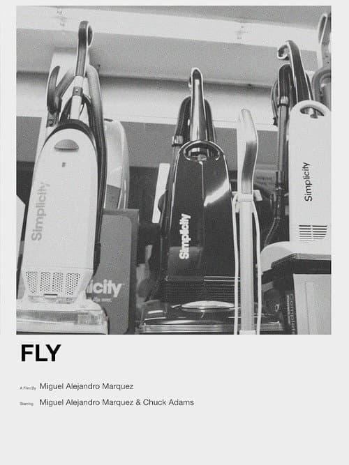 Fly poster
