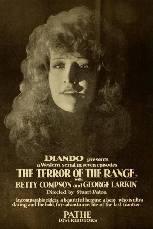 The Terror of the Range (1919) poster