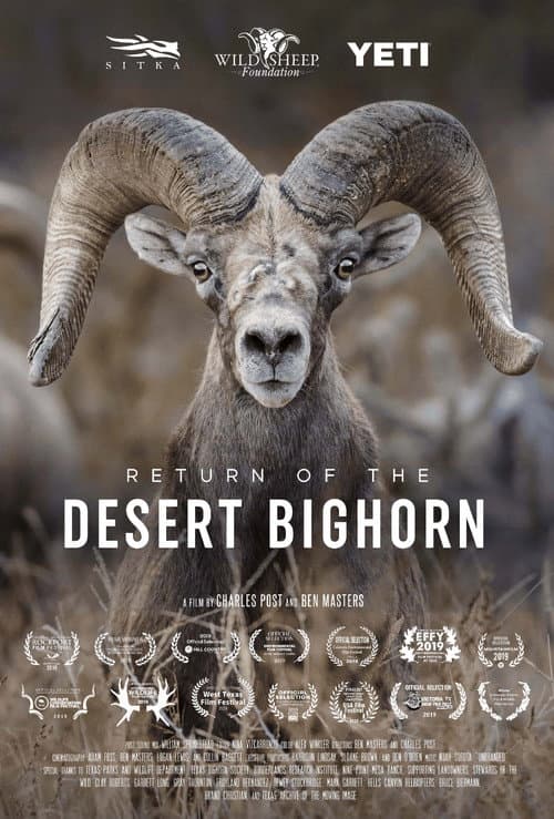 Return of the Desert Bighorn poster