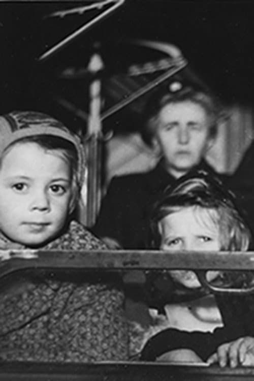 Report on the Refugee Situation poster