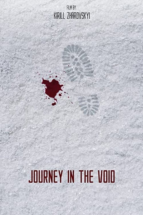 Journey in the Void (2021) poster