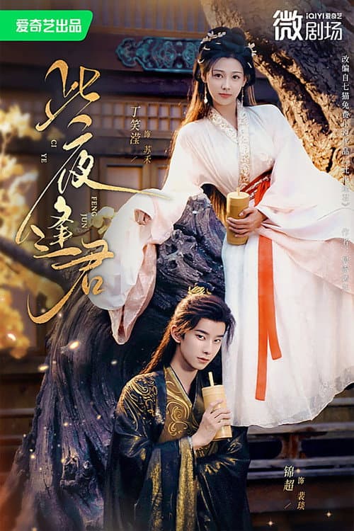 此夜逢君 poster