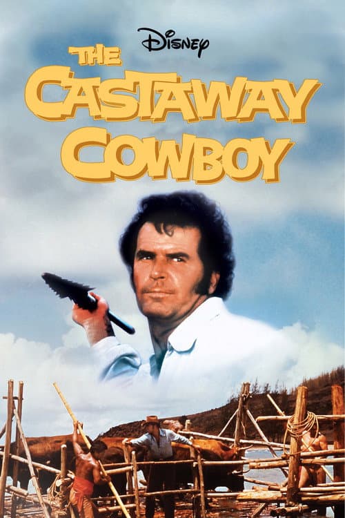 The Castaway Cowboy (1974) poster