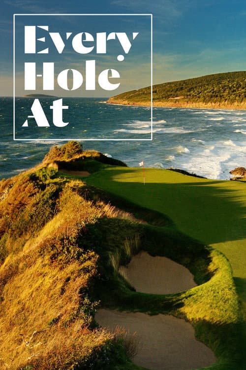 Every Hole At poster