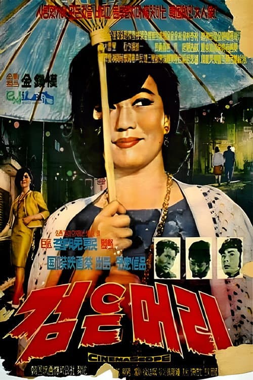 Black Hair poster