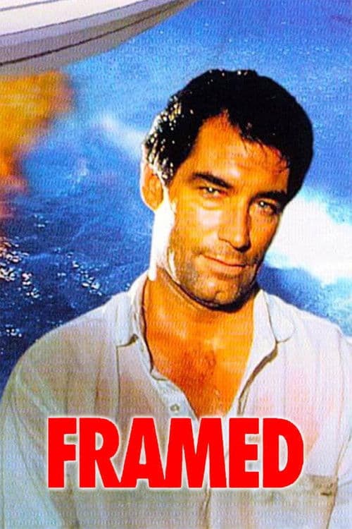 Framed (1992) poster