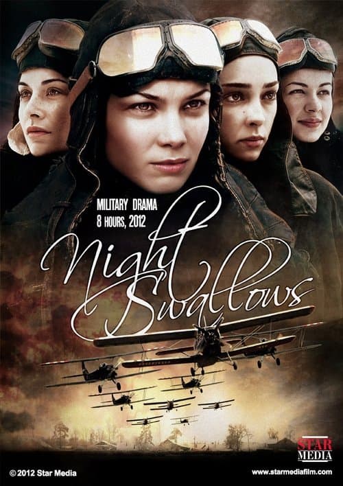 Night Swallows (2013) poster