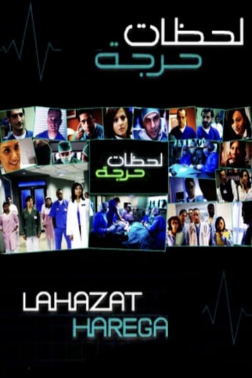 Critical Moments (2007) poster