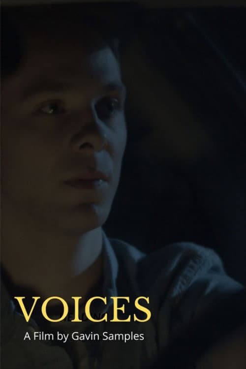 Voices poster