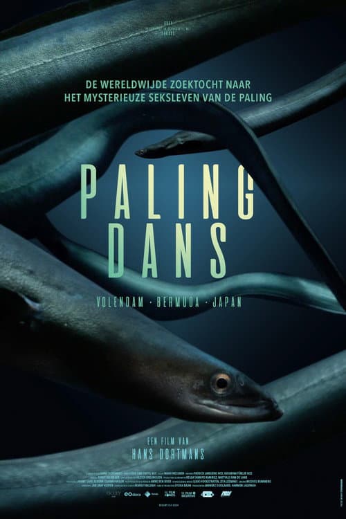 Hidden Dance of Eels (2024) poster
