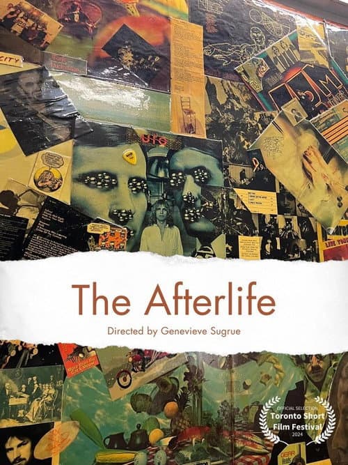 The Afterlife poster