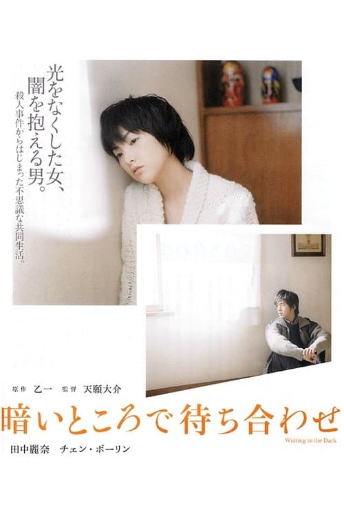 Waiting in the Dark (2006) poster