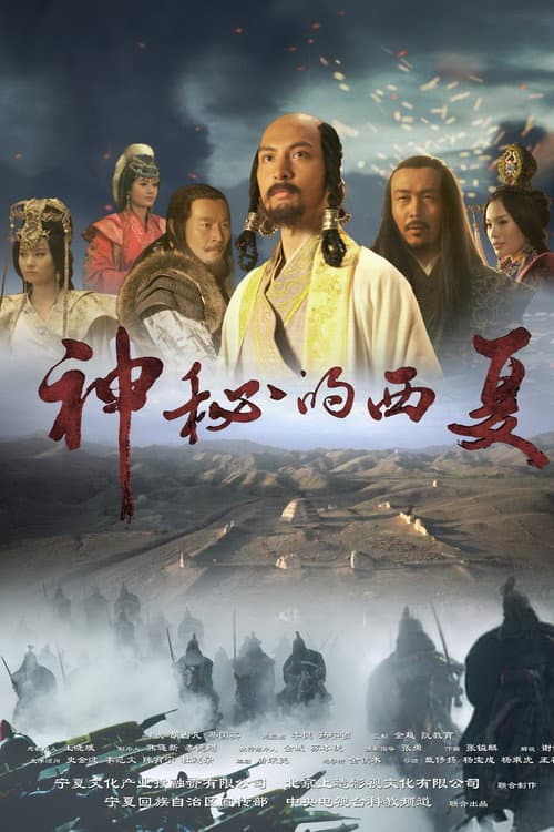 神秘的西夏 (2015) poster