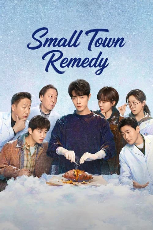 Small Town Remedy (2026) poster