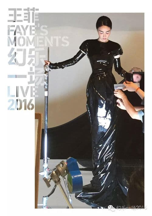 Faye's Moments Live 2016 (2016) poster