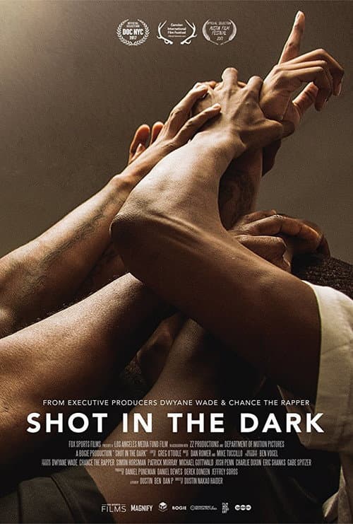 Shot in the Dark (2018) poster