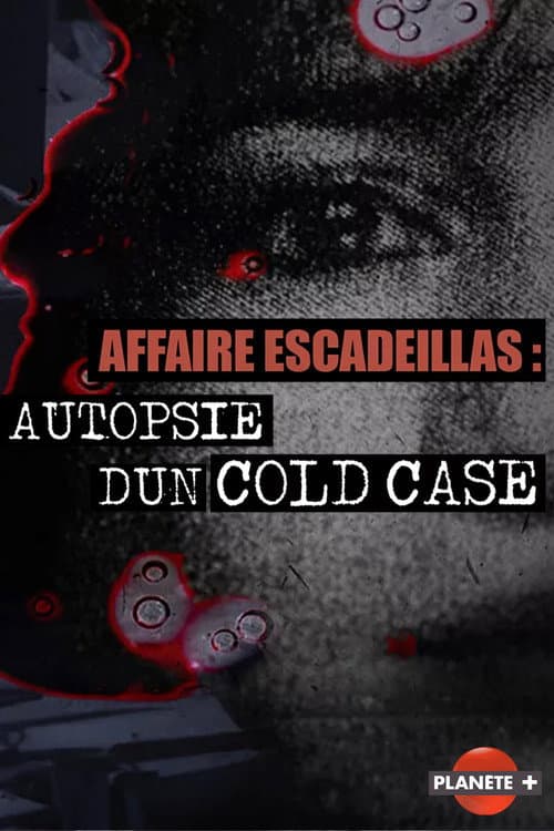 Affaire Escadeillas : autopsie d'un cold-case (2024) poster