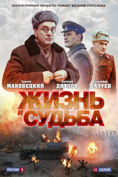 Life and Fate (2012) poster