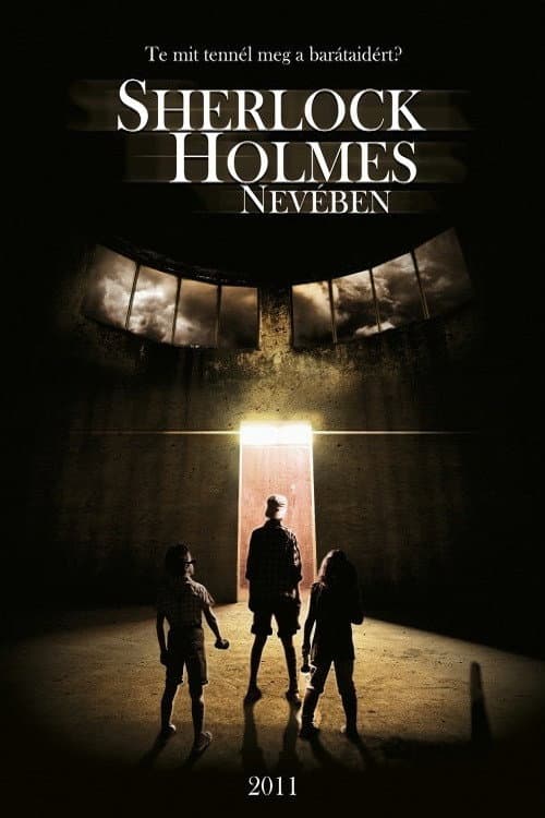 In the Name of Sherlock Holmes (2011) poster