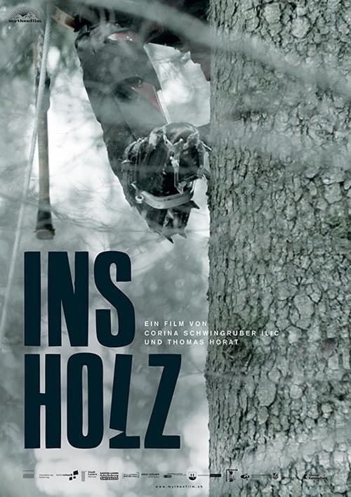 In the Woods (2017) poster