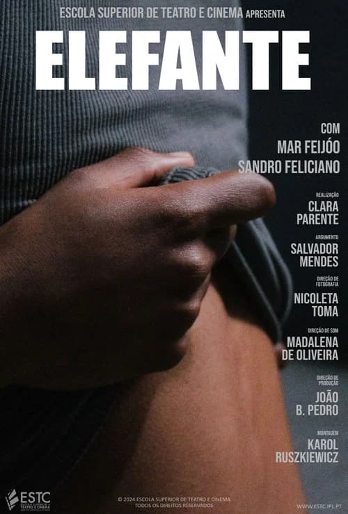 Elefante poster