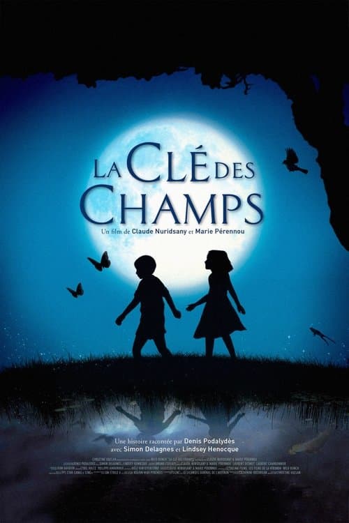 The Field of Enchantment (2011) poster