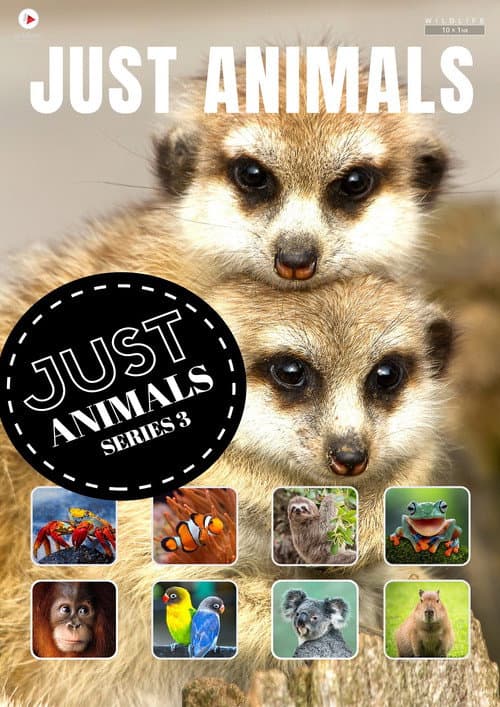 Just Animals (2018) poster
