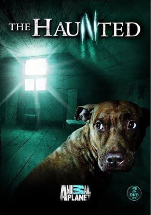 The Haunted (2009) poster